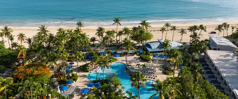 Resort Live Feed
